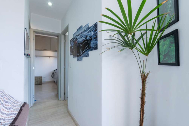 Imagem Apartamento com 2 Quartos à Venda, 50 m² em Jardim Monte Kemel - São Paulo Imagem Apartamento com 2 Quartos à Venda, 50 m² em Jardim Monte Kemel - São Paulo