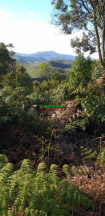 Imagem Chácara à Venda, 4 m² em São Francisco Xavier - São José Dos Campos Imagem Chácara à Venda, 4 m² em São Francisco Xavier - São José Dos Campos
