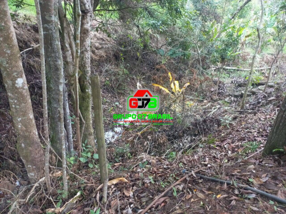 Imagem Chácara com 3 Quartos à Venda, 7.000 m² em área Rural De São José Dos Campos - São José Dos Campos Imagem Chácara com 3 Quartos à Venda, 7.000 m² em área Rural De São José Dos Campos - São José Dos Campos