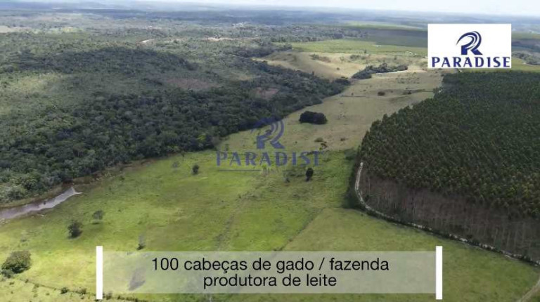 Imagem Fazenda à Venda, 766.000 m² em Zona Rural - Cardeal Da Silva Imagem Fazenda à Venda, 766.000 m² em Zona Rural - Cardeal Da Silva