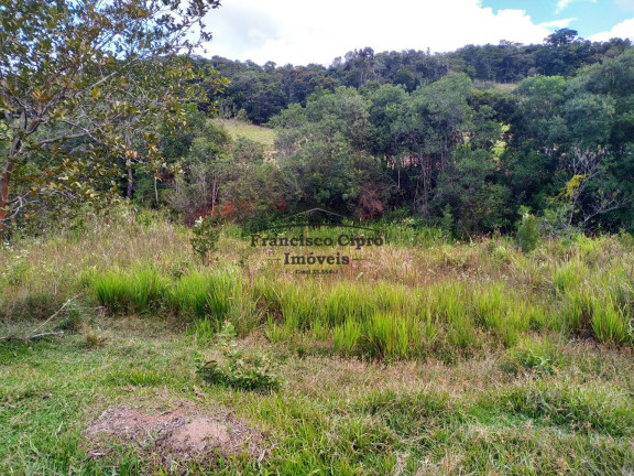 Imagem Terreno à Venda, 19.000 m² em Jardim - Cunha Imagem Terreno à Venda, 19.000 m² em Jardim - Cunha