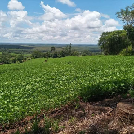 Imagem Chácara à Venda, 5 m² em Rural - Itatinga Imagem Chácara à Venda, 5 m² em Rural - Itatinga