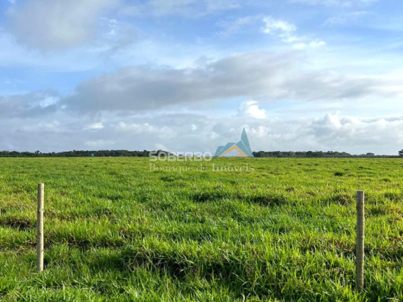 Imagem Imóvel com 4 Quartos à Venda, 5.870.000 m² em Caraiva - Porto Seguro