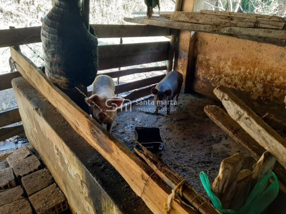 Imagem Imóvel com 2 Quartos à Venda, 1 m² em Bairro São José Do Retiro - Bananal
