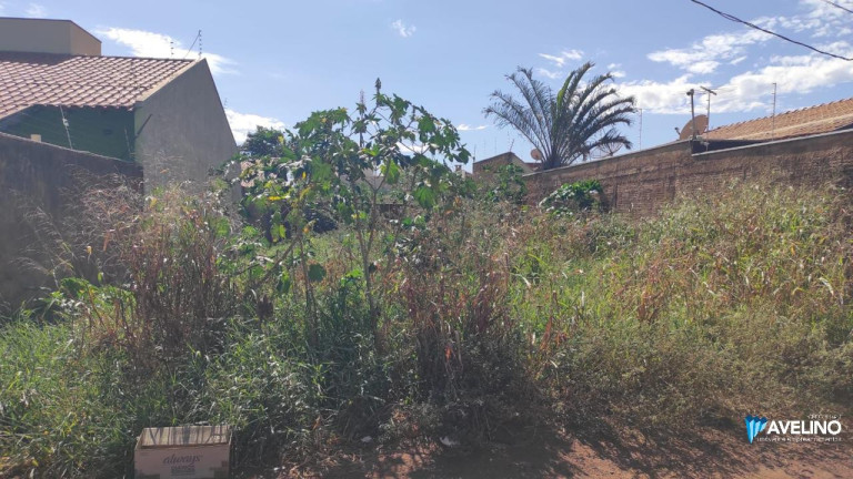 Imagem Terreno à Venda, 250 m² em Jardim Das Nações - Campo Grande Imagem Terreno à Venda, 250 m² em Jardim Das Nações - Campo Grande