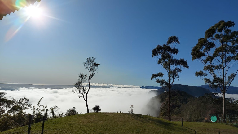 Imagem Imóvel com 3 Quartos à Venda, 28.000 m² em Zona Rural - Bom Retiro