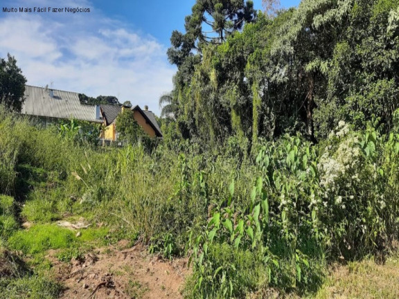 Terreno à Venda, 456 m² em Platanos Ii - Nova Petrópolis