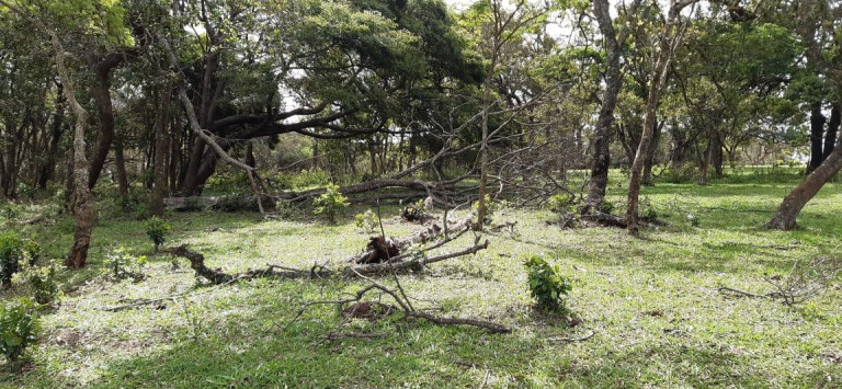 Imagem Chácara à Venda, 13 m² em Rural - Piraju Imagem Chácara à Venda, 13 m² em Rural - Piraju