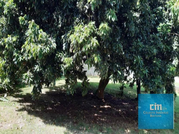 Imagem Chácara com 4 Quartos à Venda, 280 m² em Nova Rheata - Boituva