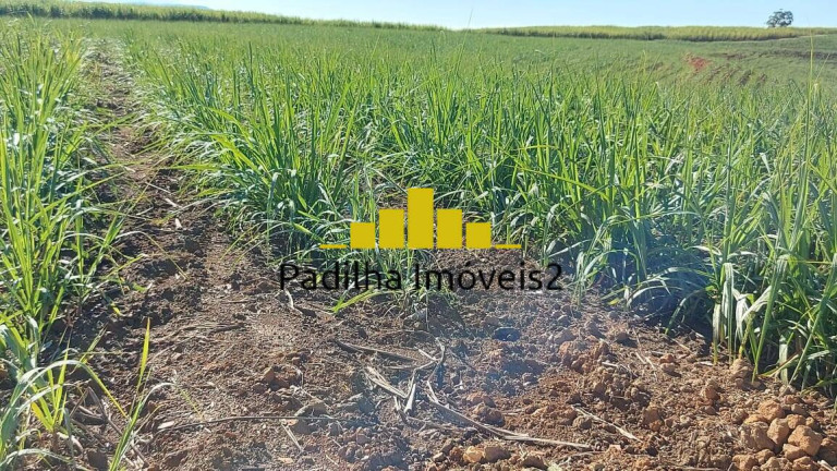 Imagem Fazenda à Venda, 119 m² em Capela Do Alto Imagem Fazenda à Venda, 119 m² em Capela Do Alto