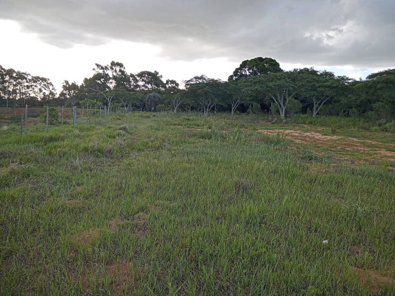 Imagem Chácara à Venda, 20.000 m² em águas Claras - Viamão Imagem Chácara à Venda, 20.000 m² em águas Claras - Viamão