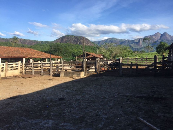 Imóvel com 2 Quartos à Venda, 113 m² em área Rural De Colatina - Colatina