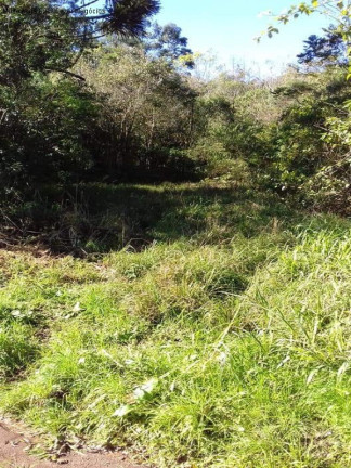 Imagem Terreno à Venda, em Linha Pirajá - Nova Petrópolis Imagem Terreno à Venda, em Linha Pirajá - Nova Petrópolis