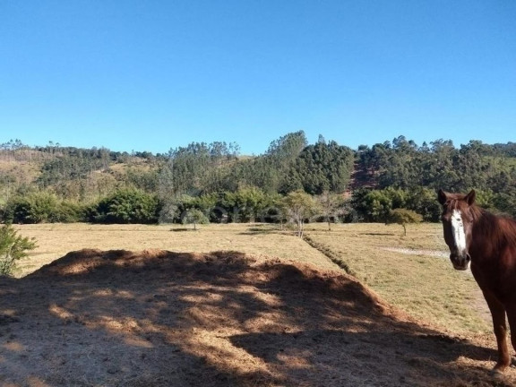 Imagem Fazenda à Venda, 350 m² em Centro - Santa Branca Imagem Fazenda à Venda, 350 m² em Centro - Santa Branca