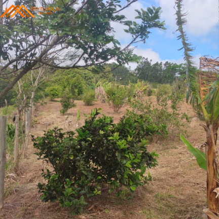 Imagem Terreno à Venda, 1.460 m² em Cangueri De Fora - Imaruí Imagem Terreno à Venda, 1.460 m² em Cangueri De Fora - Imaruí