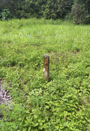Imagem Terreno à Venda, 3 m² em Aldeia Dos Camarás - Camaragibe Imagem Terreno à Venda, 3 m² em Aldeia Dos Camarás - Camaragibe