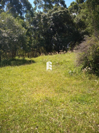 Imagem Imóvel à Venda, 100.000.000 m² em Etelvina - Itaara