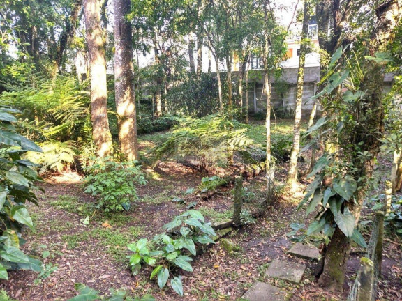 Imagem Chácara com 1 Quarto à Venda, 204 m² em Vila São Cristóvão - Piraquara Imagem Chácara com 1 Quarto à Venda, 204 m² em Vila São Cristóvão - Piraquara
