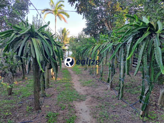 Imagem Imóvel com 5 Quartos à Venda,  em Meaípe - Guarapari