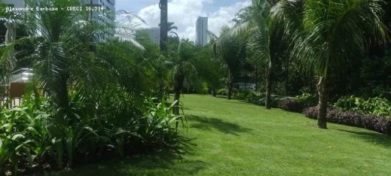 Imagem Apartamento com 4 Quartos à Venda, 135 m² em Ilha Do Retiro - Recife