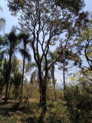 Imagem Imóvel à Venda,  em São José Dos Campos