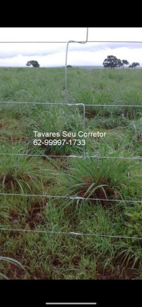 Imagem Imóvel à Venda, 83.400 m² em Joatão - São Félix Do Araguaia Imagem Imóvel à Venda, 83.400 m² em Joatão - São Félix Do Araguaia