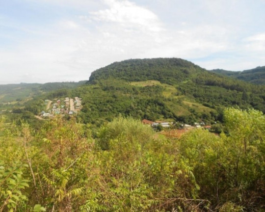 Imagem Terreno à Venda, 7 m² em Lichthenthal - Picada Café