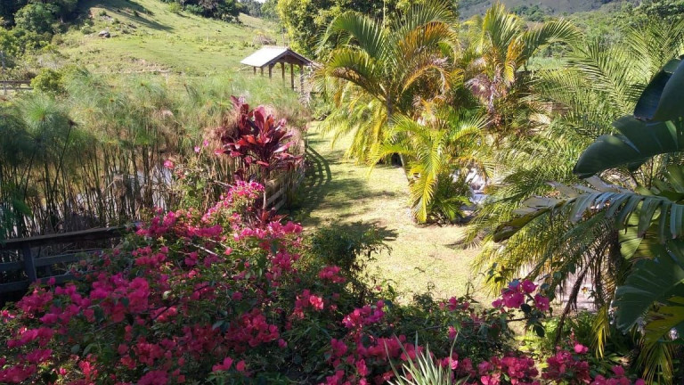 Imagem Fazenda à Venda, 68.000 m² em Povoado Sítio Novo - Imaruí Imagem Fazenda à Venda, 68.000 m² em Povoado Sítio Novo - Imaruí