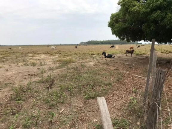 Imagem Fazenda à Venda, 1 m² em Zona Rural - Sinop Imagem Fazenda à Venda, 1 m² em Zona Rural - Sinop