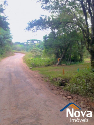 Imagem Imóvel à Venda,  em Linha Araripe - Nova Petrópolis