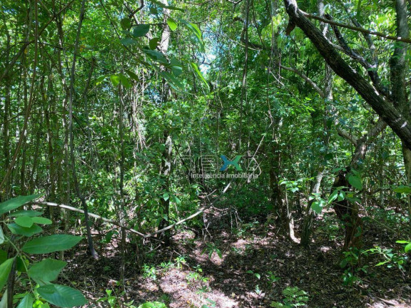 Imagem Chácara com 2 Quartos à Venda, 150 m² em Tarumã - Campo Grande