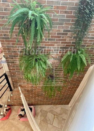Imagem Sobrado com 4 Quartos à Venda, 465 m² em Fazenda - Itajaí Imagem Sobrado com 4 Quartos à Venda, 465 m² em Fazenda - Itajaí