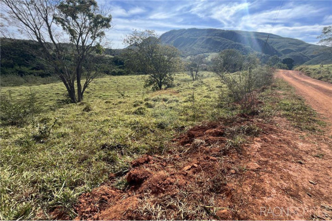 Imagem Fazenda à Venda, 720.000 m² em Centro - São Roque De Minas