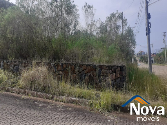 Imagem Imóvel à Venda, 392 m² em Piá - Nova Petrópolis Imagem Imóvel à Venda, 392 m² em Piá - Nova Petrópolis