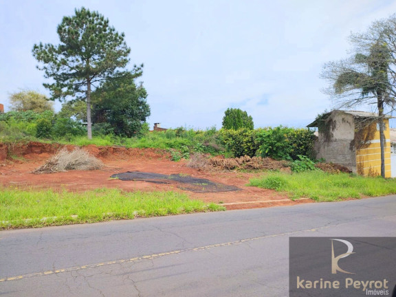 Imagem Terreno à Venda, 785 m² em Campestre - São Leopoldo Imagem Terreno à Venda, 785 m² em Campestre - São Leopoldo