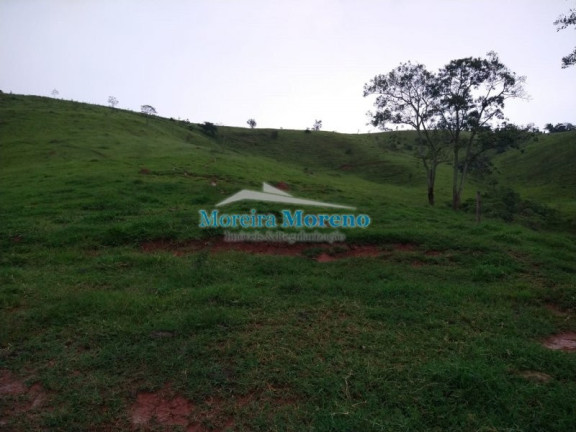 Imagem Imóvel com 1 Quarto à Venda, 11 m² em Zona Rural - Borda Da Mata