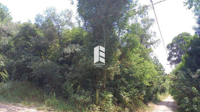 Imagem Terreno à Venda, 1.880 m² em Etelvina - Itaara