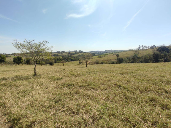 Imagem Chácara com 4 Quartos à Venda, 242 m² em Cercadinho - Alambari
