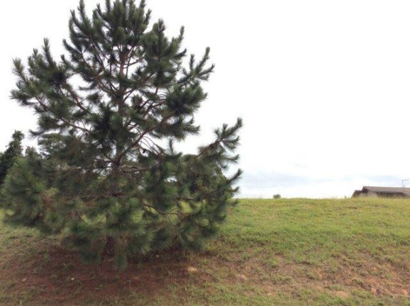 Imagem Terreno à Venda, 500 m² em Santa Adélia - Vargem Grande Paulista