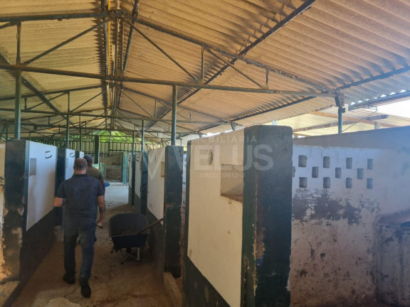 Imagem Imóvel à Venda, em Tatetu - Itapetininga Imagem Imóvel à Venda, em Tatetu - Itapetininga