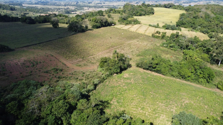 Imagem Chácara à Venda, 77.000 m² em Zona Rural - Passo Do Sobrado Imagem Chácara à Venda, 77.000 m² em Zona Rural - Passo Do Sobrado