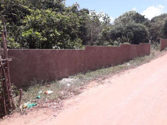 Imagem Terreno à Venda, 3.000 m² em Praia Da Pipa - Tibau Do Sul Imagem Terreno à Venda, 3.000 m² em Praia Da Pipa - Tibau Do Sul