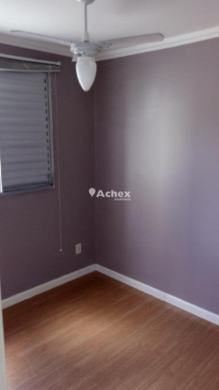 Imagem Apartamento com 3 Quartos à Venda, 60 m² em Vila Carminha - Campinas
