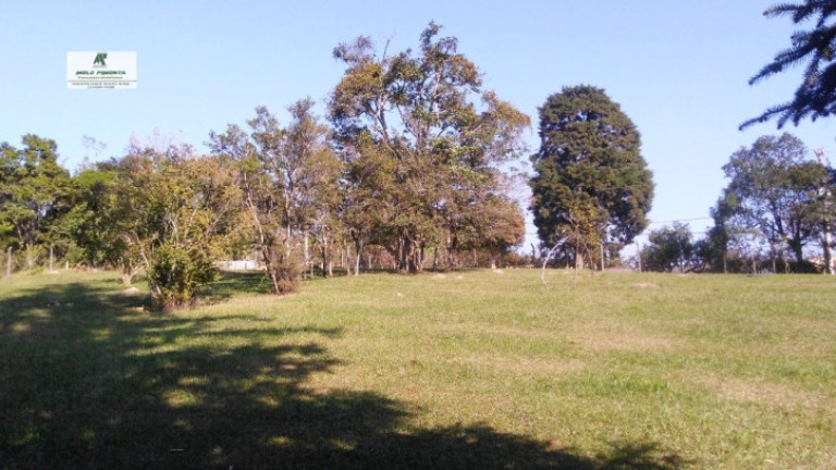 Imagem Chácara com 3 Quartos à Venda, 50.000 m² em Alto Da Serra - São Roque Imagem Chácara com 3 Quartos à Venda, 50.000 m² em Alto Da Serra - São Roque