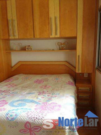 Imagem Apartamento com 2 Quartos à Venda, 50 m² em Vila Amélia - São Paulo
