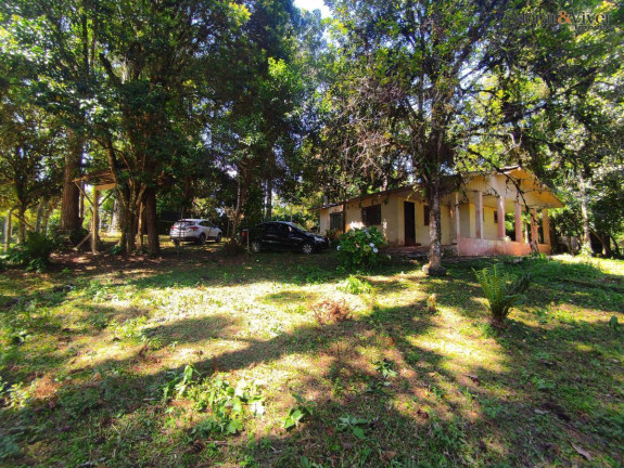 Imagem Chácara à Venda, 6.000 m² em Loteamento Chácara Chantecler - Piraquara Imagem Chácara à Venda, 6.000 m² em Loteamento Chácara Chantecler - Piraquara