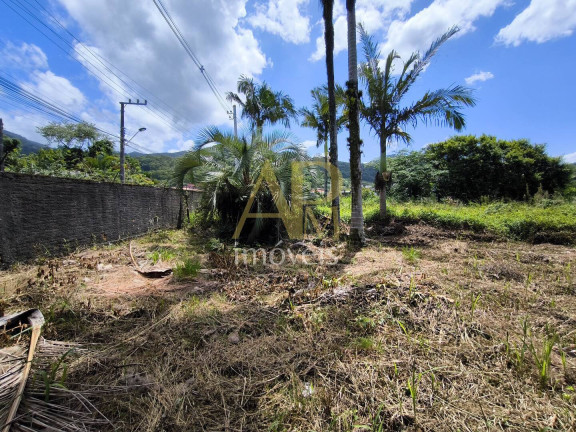 Imagem Terreno à Venda, 460 m² em Fundos - Biguaçu Imagem Terreno à Venda, 460 m² em Fundos - Biguaçu