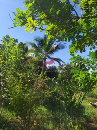 Imagem Chácara com 1 Quarto à Venda, 2.335 m² em São Caetano - Italva