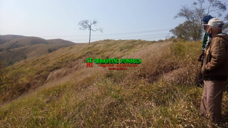 Imagem Chácara com 2 Quartos à Venda, 1.200.000 m² em Centro - Caçapava