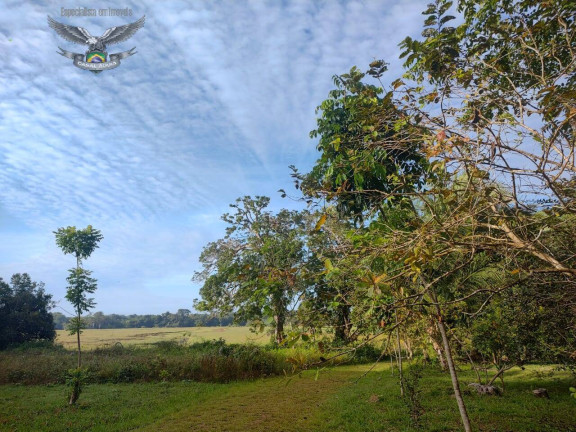 Imagem Fazenda à Venda, em Marapanim Imagem Fazenda à Venda, em Marapanim